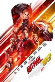 Ant Man and the Wasp (2018) Dual Audio [Hindi-English]