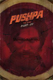 Pushpa: The Rise – Part 1 (2021)