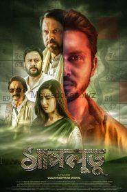 Shapludu (2019) Bangla HDTVRip – 720P – 1.1GB – Download & Watch Online