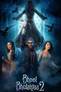 Bhool Bhulaiyaa 2 (2022) Hindi Netflix WEB-DL – 480P | 720P | 1080P – 450MB | 1.2GB | 2.5GB – Download