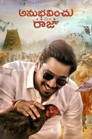 Anubhavinchu Raja (2021) [Hindi-Telegu]