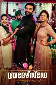 Brother’s Day (2019) [Hindi-Malayalam]