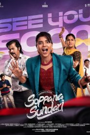 Soppana Sundari (2023) [Hindi-Tamil]