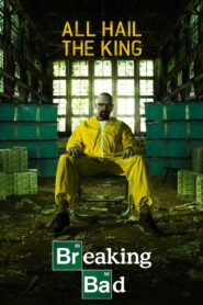 Breaking Bad (2008) [Hindi-English] [S01-04 Done] [S05 Ep01-14]