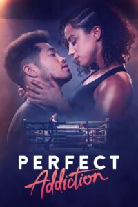 Perfect Addiction (2023) [Hindi-English]